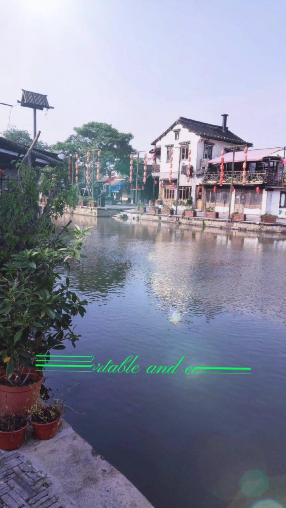 组装机械章鱼龙